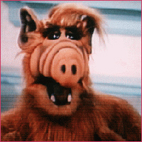 ALF