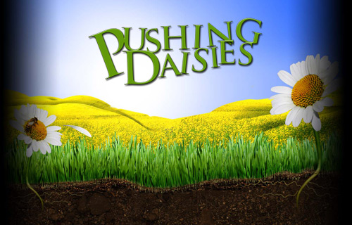 http://popbytes.com/img/pushing-daisies-1.jpg