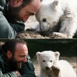 Knut and Thomas Dörflein