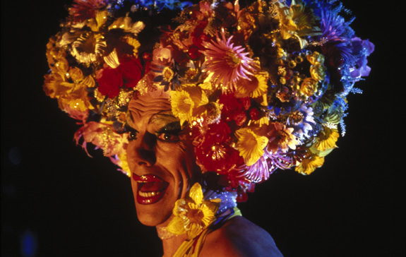The Adventures of Priscilla, Queen of the Desert The Adventures of Priscilla, Queen of the Desert