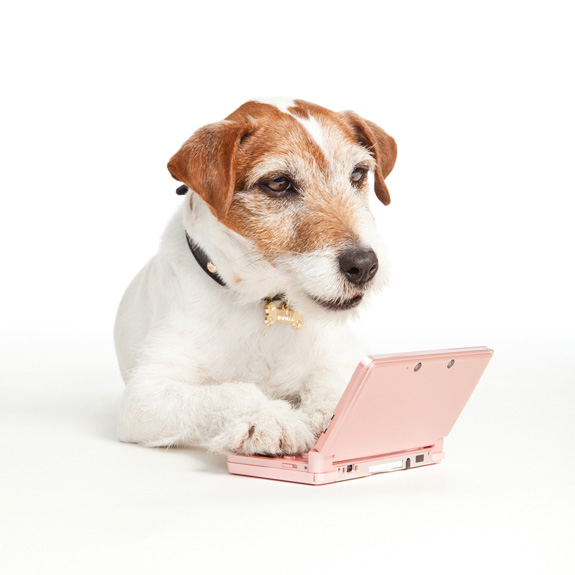 Uggie