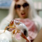Lady Gaga and Die Antwoord